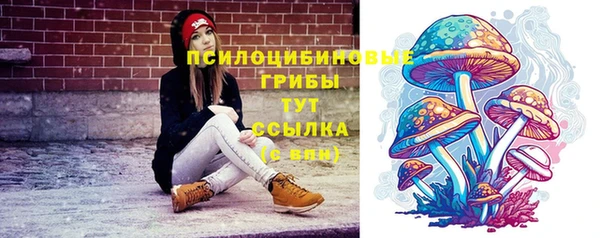 дживик Алексеевка