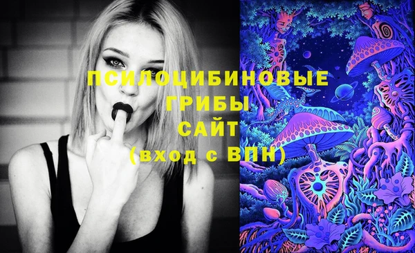 дживик Алексеевка