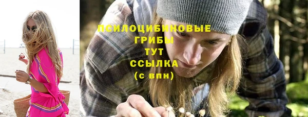 прущий лед Алексин