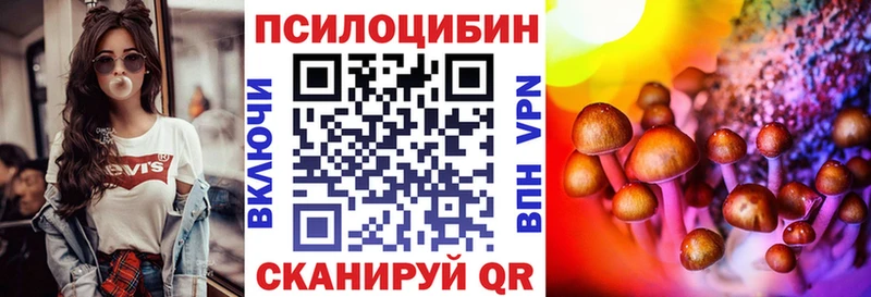 Псилоцибиновые грибы Cubensis Пучеж
